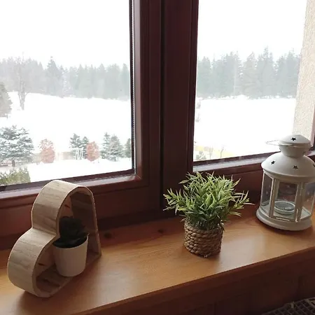 Rojka Apartament Zakopane